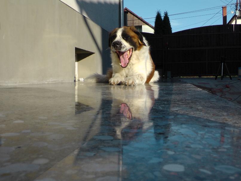 tökéletesen sima csiszolt betonfelület